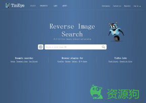 TinEye Reverse Image Search